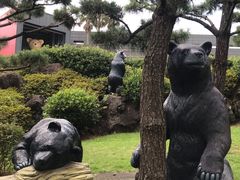 -济州岛泰迪熊博物馆