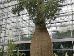 -南山植物园
