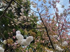 -白马涧龙池景区
