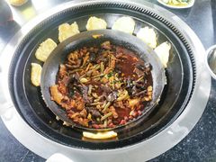 -洪湖家庭农场·团建·露营·会议