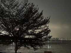 -深圳湾公园(南山区)