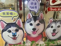-Husky Go! 哈士奇体验馆·宠物咖啡厅狗咖