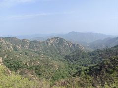 -大岭沟猕猴桃谷风景区
