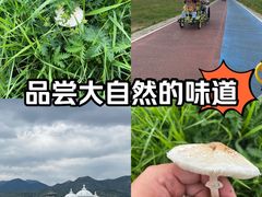 -敕勒川草原
