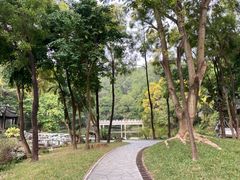 -深圳国际园林花卉博览园