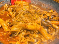-红辣椒八爪鱼特色韩国料理