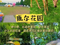 -老鼎万春卤菜(五代传承创始老店)