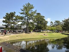 -奈良公园