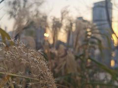 -西北湖绿化广场