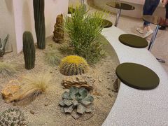 -OUR Bakery(SKP-S店)