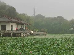 -北山公园