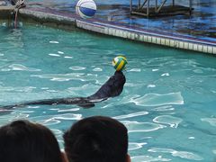-合肥野生动物园