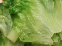 -金鼎轩(方庄天坛店)