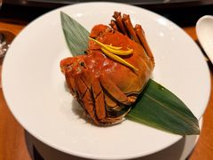 -觀芷隐轩