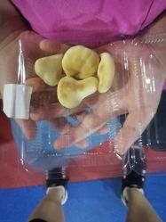 -DoDo梦想城(泉舜购物中心店)