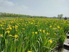 -永定河休闲森林公园
