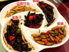 -莫华(锦绣趣园北街店)