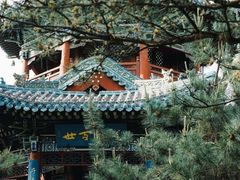 -迎泽公园