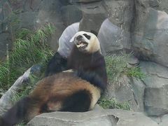 -常州淹城野生动物世界