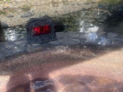 -明月山天沐温泉度假村