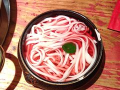-小龙翻大江文化火锅(太古里店)