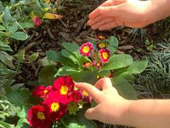 -国家植物园南园