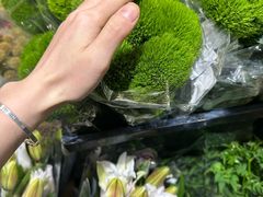 -溪岸路花鸟市场