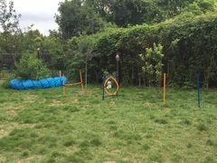 -翊宠yipet猫狗购宠庄园犬舍•猫舍