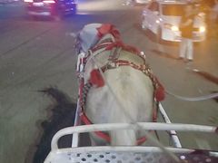 -东戴河风景区-止锚湾