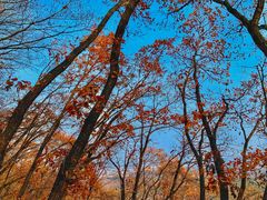 -帽儿山国家森林公园