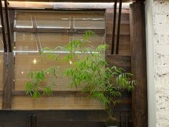-竹子咖啡bamboo coffee