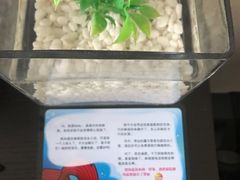 -桔子酒店(上海西藏北路地铁站店)