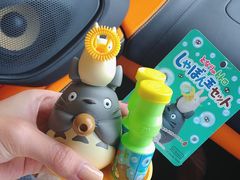 -伊豆泰迪熊博物馆