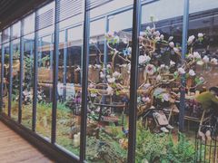 -拈菜(观音桥阳光世纪店)