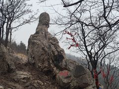 -涂山风景区