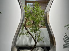 -南园(太仓市)