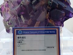 -中国地质大学逸夫博物馆