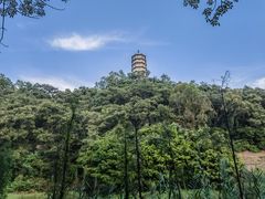 -深圳国际园林花卉博览园