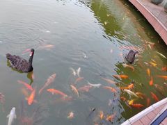 -春晖园度假酒店温泉