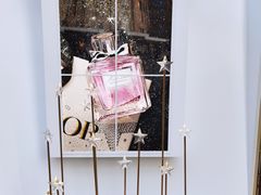 门面-Dior迪奥(上海世茂广场店)