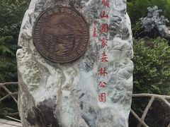 -王顺山国家森林公园