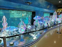 -乐从天佑城海洋馆