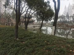 -习家池