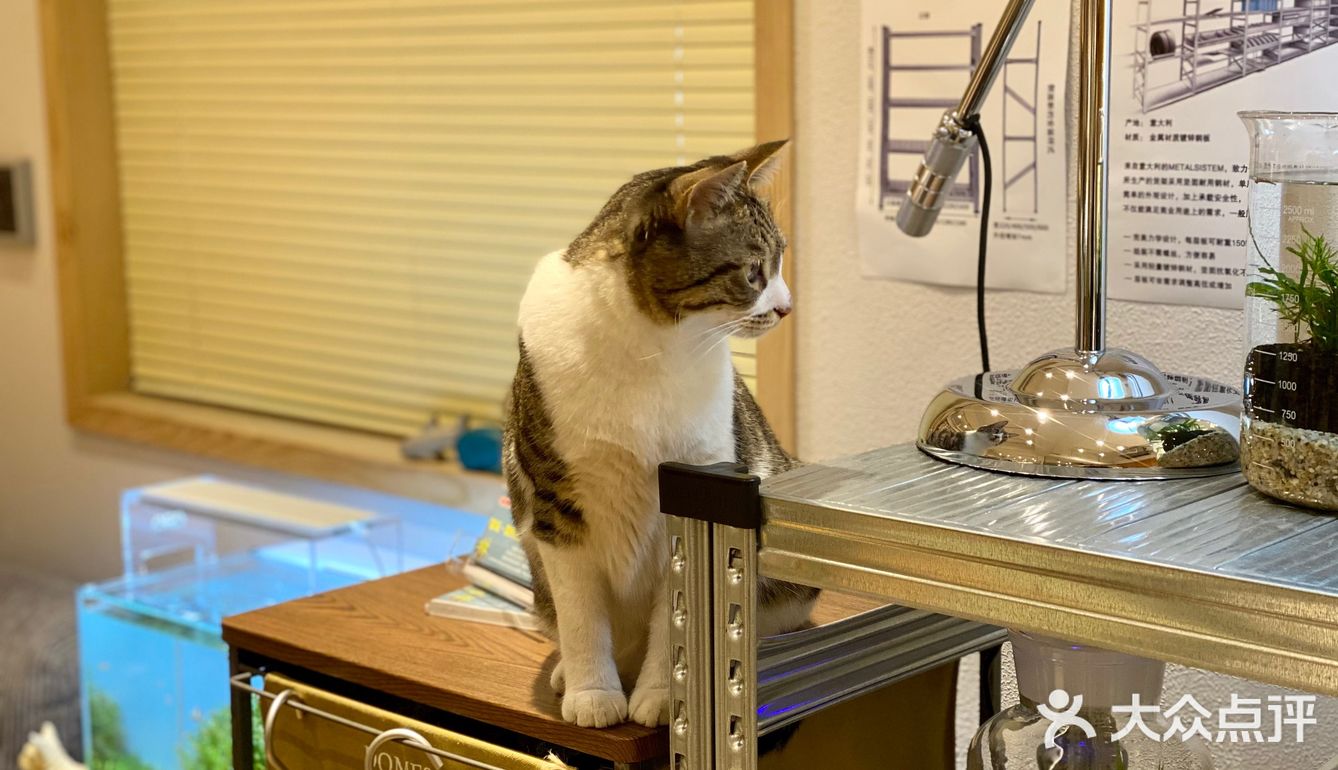 二条探店