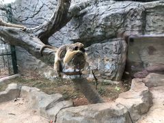 -泉州海丝野生动物世界