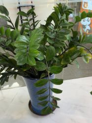 -洗脸熊·洗脸吧