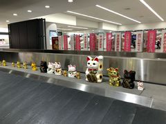 -中部国际机场
