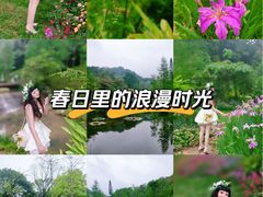 -云溪植物园