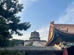 -颐和园