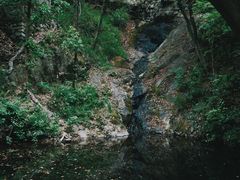 -宁波市保国寺古建筑博物馆